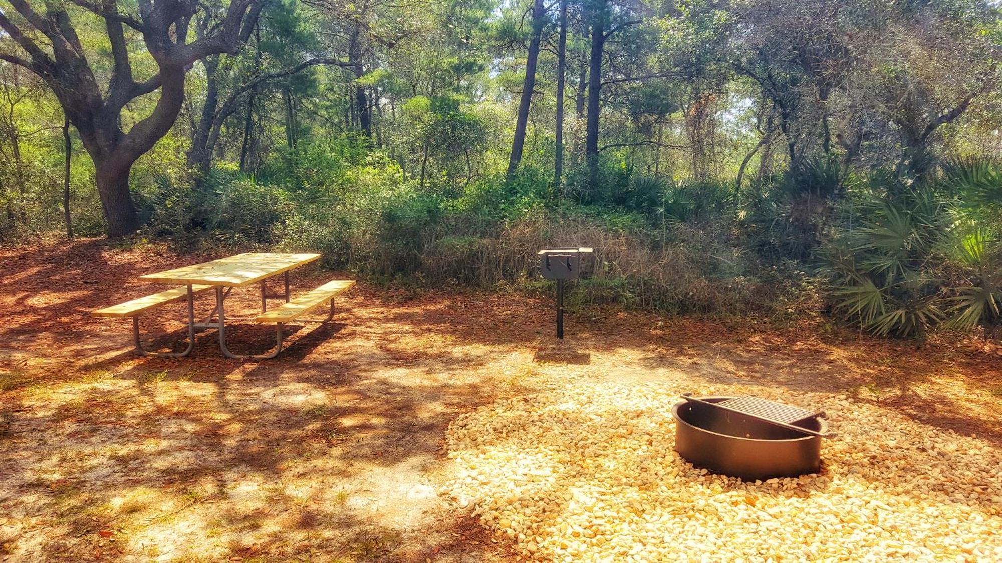 The Cabins At Gulf State Park غولف شورز المظهر الخارجي الصورة